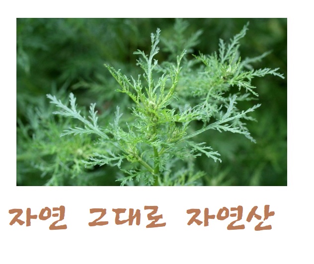 420ad41418b71e4fc68342428c60cee7_1640497