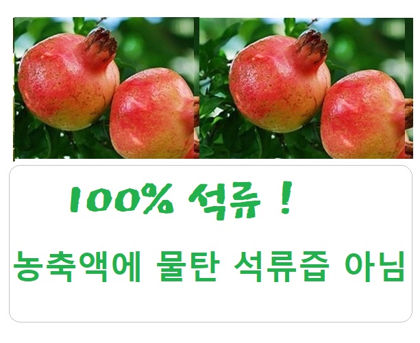 aa14cfe94e5a857726289114c298be0a_1645859