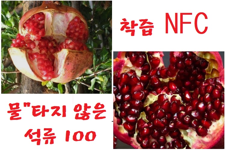 aa14cfe94e5a857726289114c298be0a_1645859