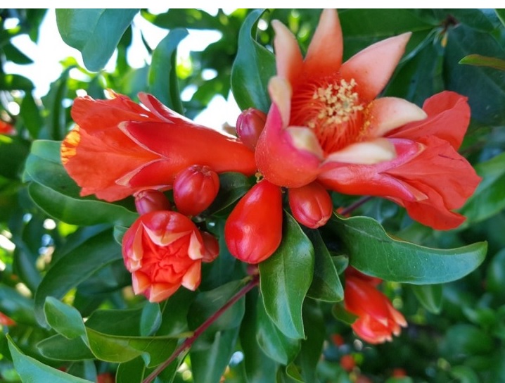 aa14cfe94e5a857726289114c298be0a_1645859