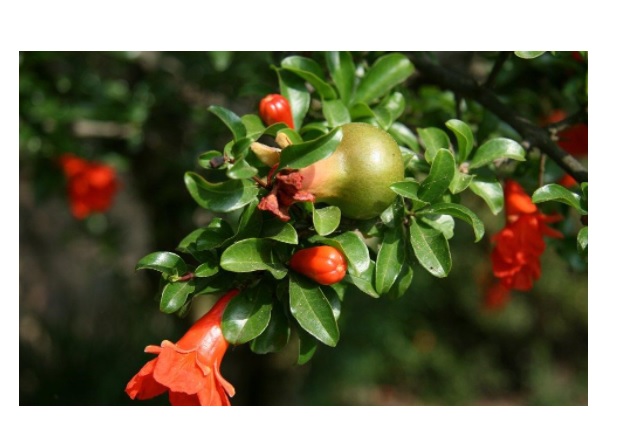 aa14cfe94e5a857726289114c298be0a_1645859