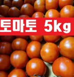 토마토5kg